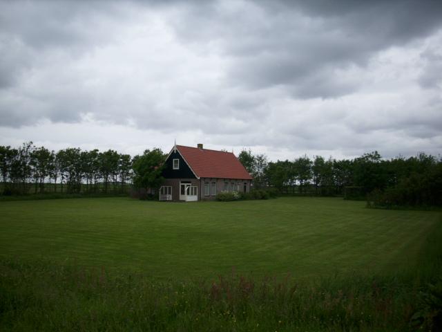 Original image